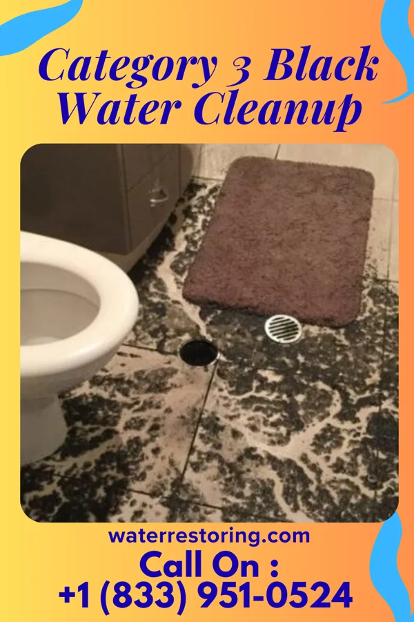 Category 3 Black Water Cleanup in Brandon, WI