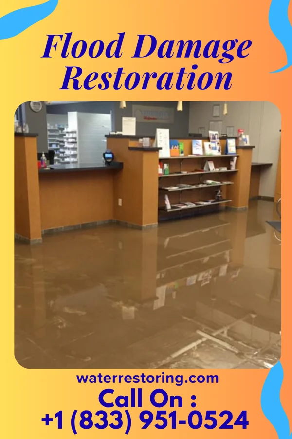Flood Damage Restoration in Brandon, WI