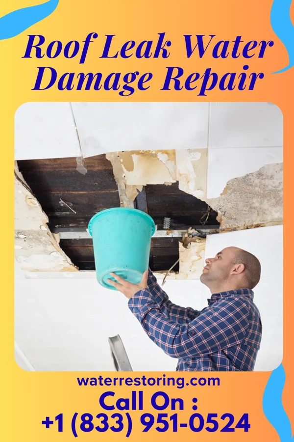 Roof Leak Water Damage Repair in Brandon, WI