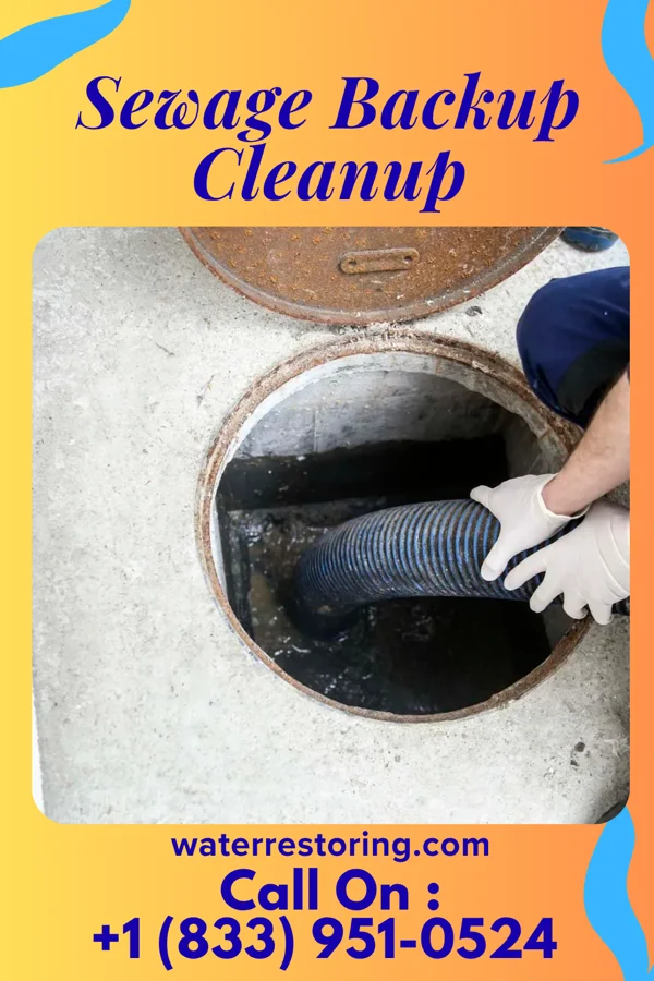 Sewage Backup Cleanup in Brandon, WI